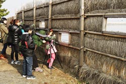 Seocheon Journey of Migratory Birds